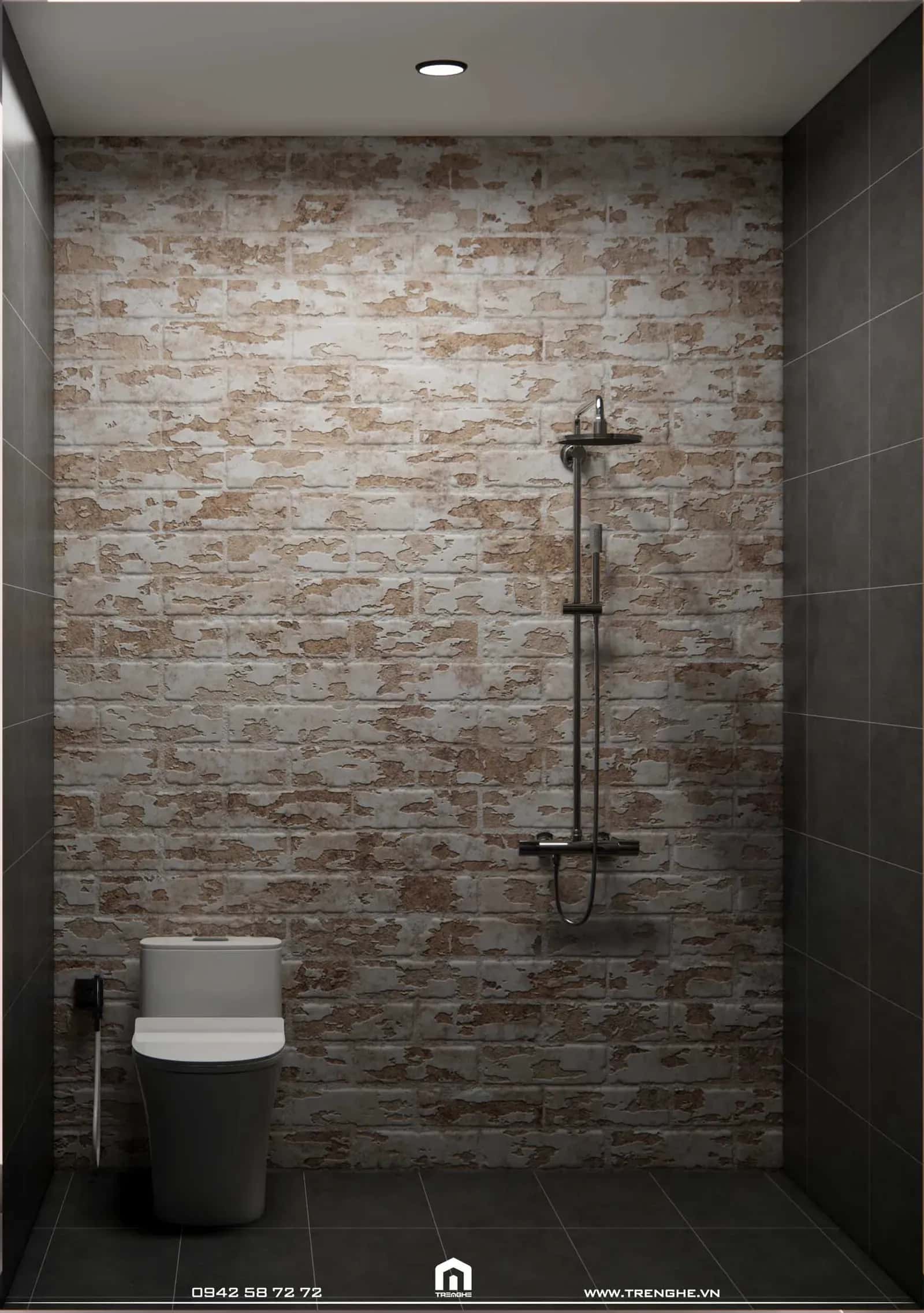 Tre Nghệ ốp gạch giả đá trang trí tường nhà vệ sinh D’ House