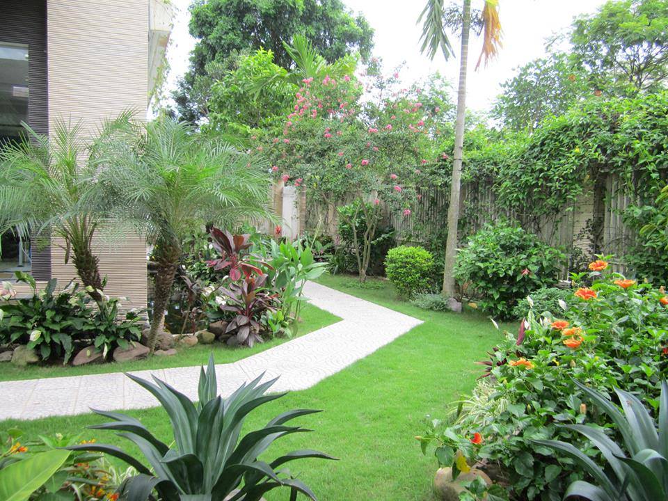 Thiết kế sân vườn tối ưu diện tích ngôi nhà